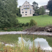 Astra_Wyssloch_2_1920_1080