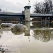 eiswehr_Sihl_1920_1080